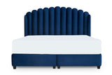 Aqua Bed